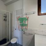 Rent 5 bedroom apartment of 97 m² in Viareggio