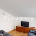 Rent 3 bedroom apartment of 80 m² in Cologno Monzese