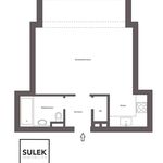 Miete 1 Schlafzimmer wohnung von 41 m² in Vienna