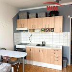 Rent 1 bedroom apartment of 22 m² in Toužim