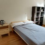 Rent 1 bedroom apartment of 40 m² in Salamanca