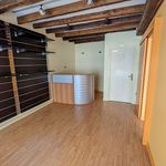 Rent 2 bedroom apartment of 47 m² in La Chapelle-Saint-Ursin