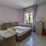 Rent 2 bedroom apartment of 60 m² in Cusano Milanino