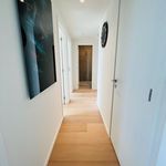 Rent 2 bedroom apartment in Antwerp