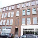 Rent 1 bedroom house of 16 m² in Den Haag