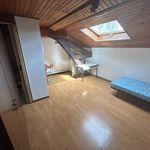 Rent 1 bedroom apartment of 20 m² in Lunéville