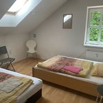 Rent 1 bedroom apartment of 100 m² in Velemín