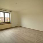 Rent 5 bedroom house of 675 m² in Wemmel