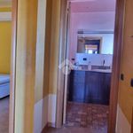 Affitto 5 camera casa di 120 m² in Catanzaro