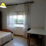 Alquilo 4 dormitorio apartamento de 95 m² en Huesca