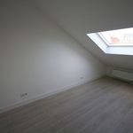 Huur 2 slaapkamer appartement van 43 m² in Haarlem