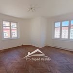 Rent 1 bedroom apartment of 51 m² in Plzeň
