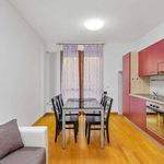 Rent 2 bedroom apartment of 50 m² in La Spezia