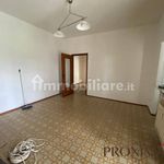 Rent 2 bedroom apartment of 63 m² in Turin