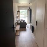 Rent 1 bedroom apartment of 18 m² in Saint-Jean