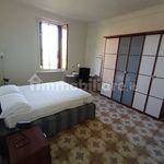 Rent 3 bedroom apartment of 73 m² in Torino
