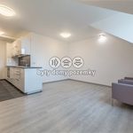 Rent 1 bedroom apartment of 63 m² in Frýdlant