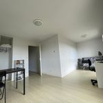 Rent 1 bedroom apartment of 26 m² in Nantes
