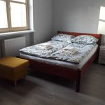 Rent 2 bedroom apartment of 44 m² in szczecin