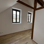 Rent 2 bedroom apartment of 63 m² in Šternberk