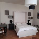 Rent 2 bedroom apartment of 34 m² in DE BIGORRE