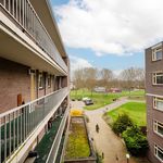 Huur 2 slaapkamer appartement van 96 m² in Almere