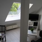 Spacious 2-room-apartment in the center of Worms