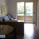 Rent 2 bedroom apartment of 60 m² in Castiglione della Pescaia