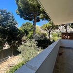 Affitto 5 camera casa di 200 m² in Palermo