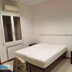 Rent 4 bedroom apartment of 120 m² in Bologna