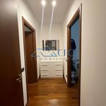 Rent 3 bedroom apartment of 75 m² in Segrate