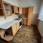Rent 3 bedroom apartment of 55 m² in Bílina