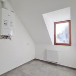 Rent 2 bedroom apartment of 130 m² in Wiesbaden