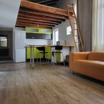 Rent 5 bedroom apartment in Valladolid