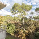 Rent a room of 20 m² in Valbonne