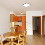Rent 1 bedroom apartment of 55 m² in Brno