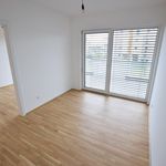 Miete 2 Schlafzimmer wohnung von 36 m² in Kalsdorf bei Graz