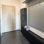 Rent 1 bedroom apartment of 35 m² in Klecany
