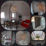 Rent 2 bedroom apartment of 52 m² in Witten