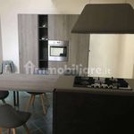 Rent 4 bedroom apartment of 200 m² in Syracuse