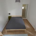 Rent 1 bedroom apartment in Leiria