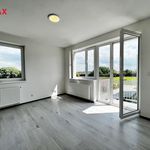 Rent 2 bedroom apartment of 64 m² in Cerhenice