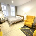 Rent 1 bedroom apartment of 46 m² in Olomouc