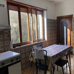 Rent 5 bedroom apartment of 145 m² in Sgurgola