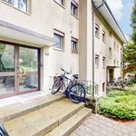 Rent 4 bedroom apartment of 91 m² in Zürich