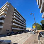 Affitto 3 camera appartamento di 90 m² in Pescara