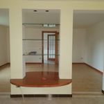 Affitto 3 camera casa di 130 m² in Rovigo