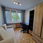 Rent 3 bedroom apartment of 53 m² in Poznań
