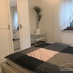 Rent 2 bedroom apartment of 43 m² in Frechen