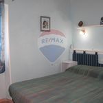 Rent 2 bedroom apartment of 40 m² in Orbetello